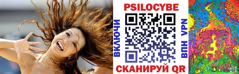Галлюциногенные грибы Psilocybe  Купить закладки  Нижний Новгород 