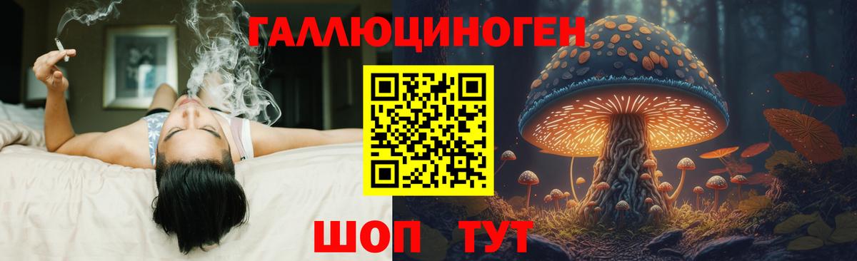Галлюциногенные грибы Cubensis Нижний Новгород